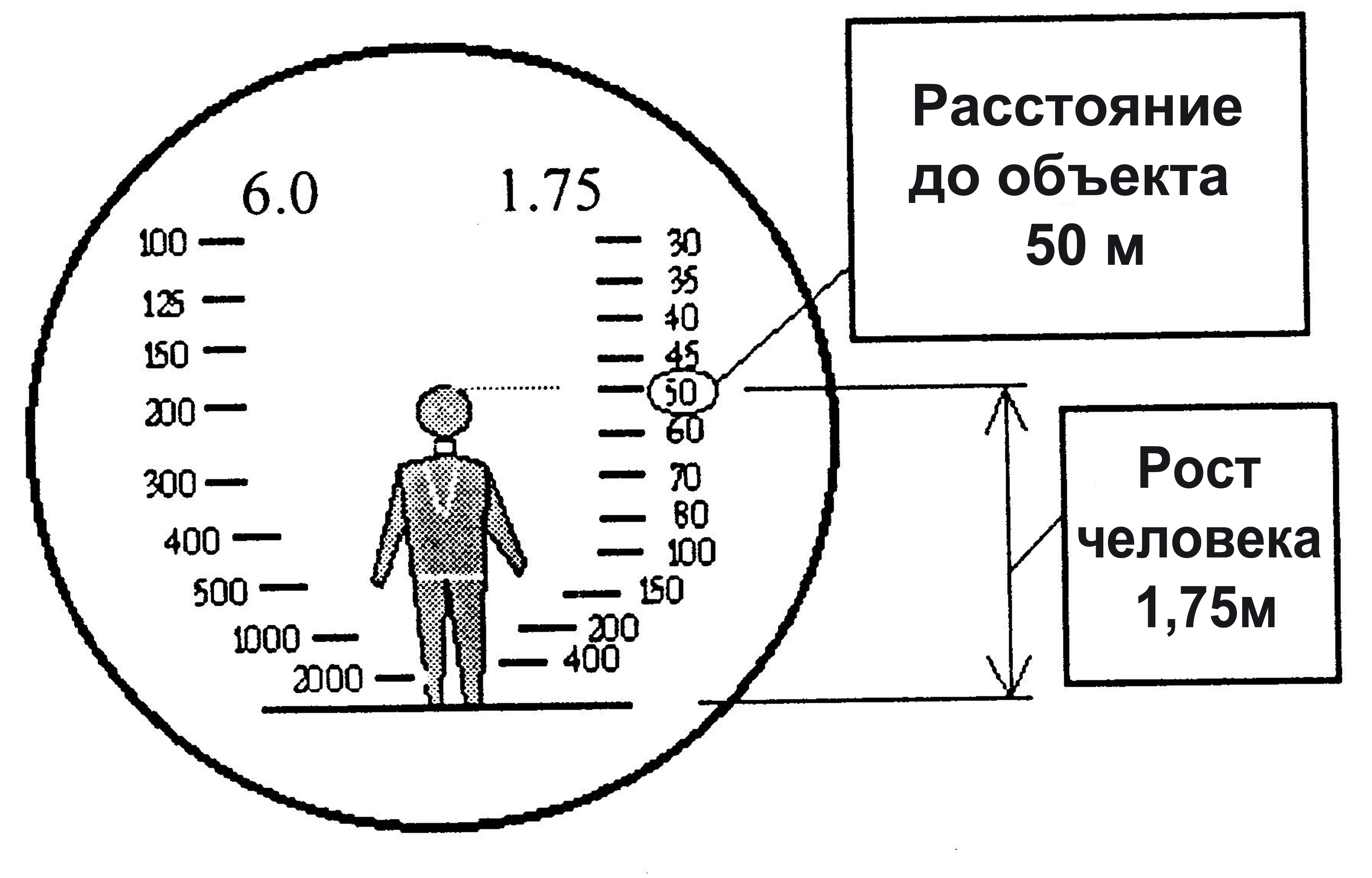 Рост расстояние