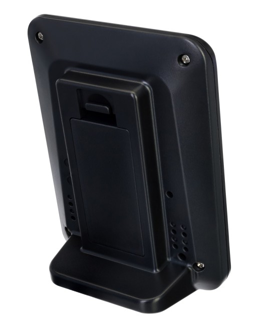 Термометр Levenhuk Wezzer BASE L50 Термометр Levenhuk Wezzer BASE L50