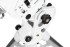 Монтировка Sky-Watcher AZ-EQ6 SynScan GOTO со стальной треногой