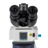 Микроскоп Микромед 3 (вариант ЛЮМ 2 LED) тринокулярный Микроскоп Микромед 3 (вариант ЛЮМ 2 LED) тринокулярный