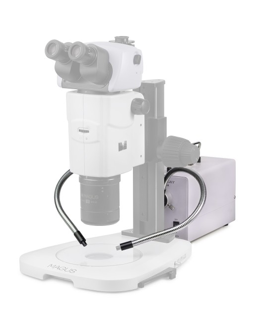 Осветитель холодным светом MAGUS CLI18T с двойным световодом