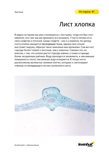 Набор микропрепаратов Levenhuk N80 NG «Увидеть все!» Набор микропрепаратов Levenhuk N80 NG «Увидеть все!»
