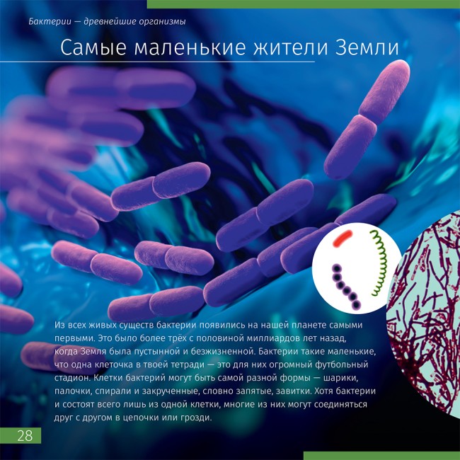 Книга знаний в 2 томах. «Космос. Микромир» Книга знаний в 2 томах. «Космос. Микромир»