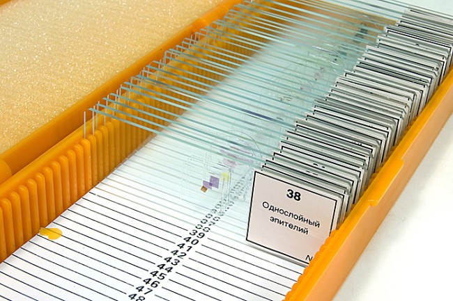 Набор микропрепаратов Levenhuk N38 NG