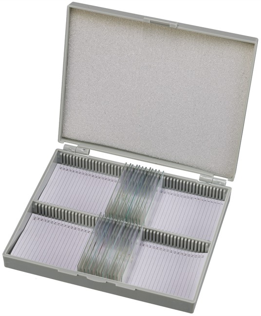 Набор микропрепаратов Bresser 25 шт., в кейсе Набор микропрепаратов Bresser 25 шт., в кейсе