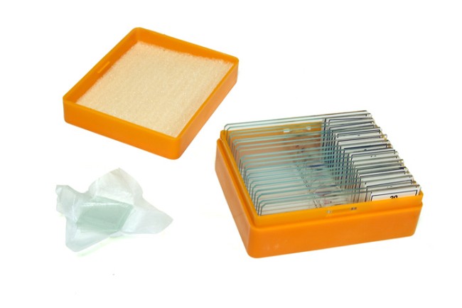 Набор микропрепаратов Levenhuk N20 NG Набор микропрепаратов Levenhuk N20 NG