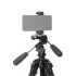 Штатив Falcon Eyes R-Line 515 3DP Штатив Falcon Eyes R-Line 515 3DP