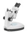 Микроскоп Альтами СМ1/3 (СМ-6) Микроскоп Альтами СМ1/3 (СМ-6)