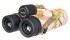 Бинокль Levenhuk Camo Pine 10x42 с сеткой Бинокль Levenhuk Camo Pine 10x42 с сеткой
