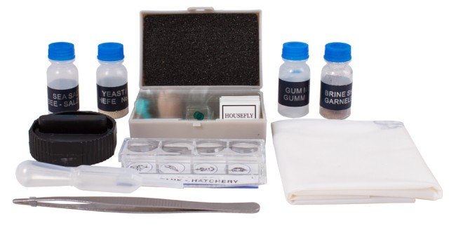 Набор для опытов Levenhuk K50