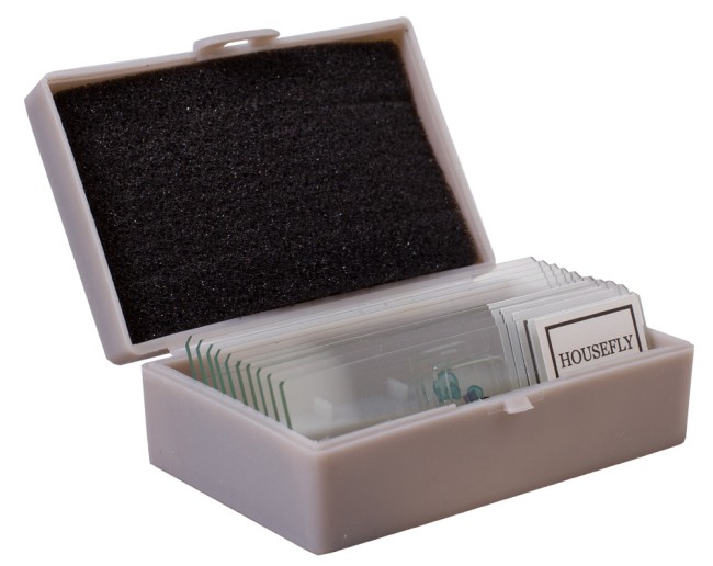 Набор для опытов Levenhuk K50