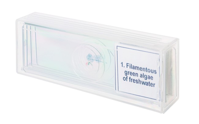 Набор микропрепаратов Discovery Prof DPS 5. «Биология» Набор микропрепаратов Discovery Prof DPS 5. «Биология»