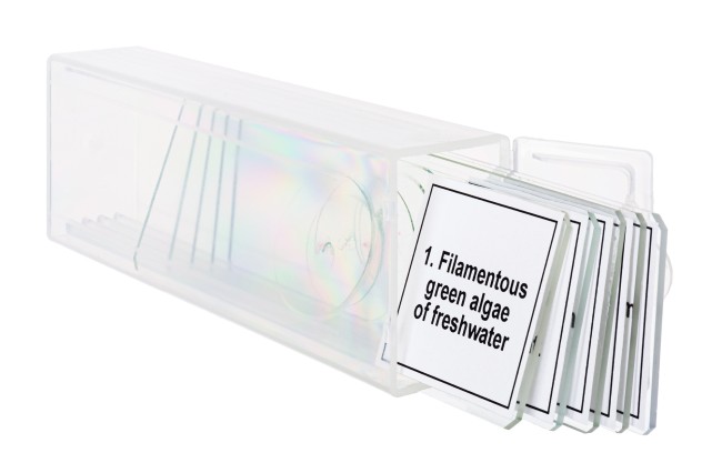 Набор микропрепаратов Discovery Prof DPS 5. «Биология» Набор микропрепаратов Discovery Prof DPS 5. «Биология»