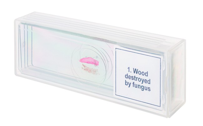 Набор микропрепаратов Discovery Prof DPS 5. «Мутации» Набор микропрепаратов Discovery Prof DPS 5. «Мутации»