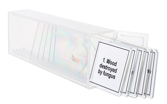 Набор микропрепаратов Discovery Prof DPS 5. «Мутации» Набор микропрепаратов Discovery Prof DPS 5. «Мутации»