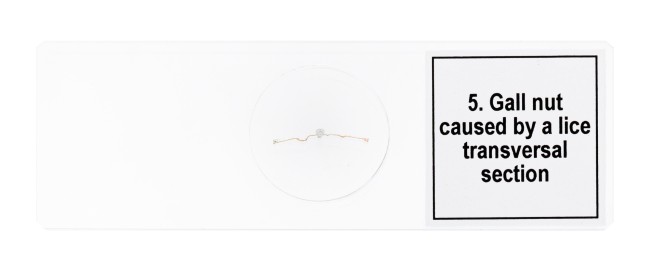 Набор микропрепаратов Discovery Prof DPS 5. «Мутации» Набор микропрепаратов Discovery Prof DPS 5. «Мутации»