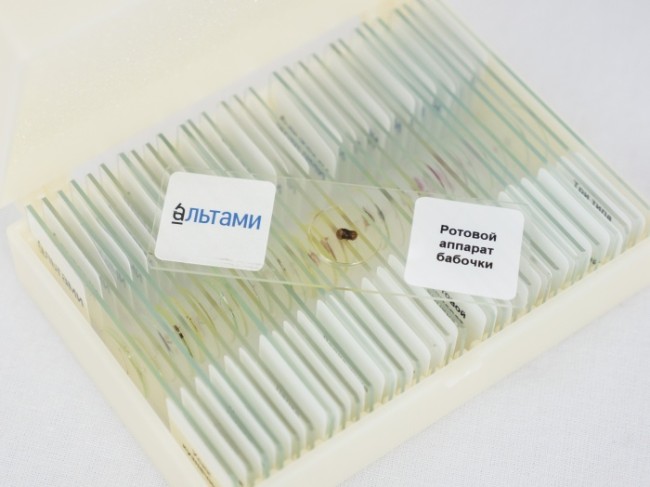 Набор микропрепаратов Альтами "Зоология" (30 стекол)