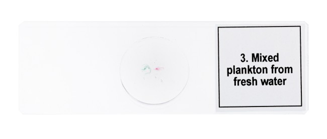 Набор микропрепаратов Discovery Prof DPS 5. «Жизнь в капле воды»