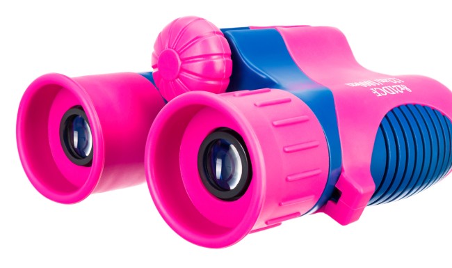 Бинокль Levenhuk LabZZ B2 Flamingo Бинокль Levenhuk LabZZ B2 Flamingo