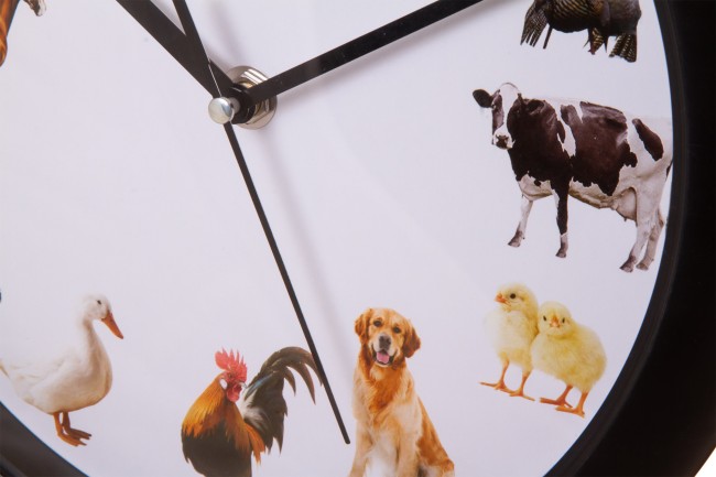 Часы настенные Bresser Junior, 25 см, с животными Часы настенные Bresser Junior, 25 см, с животными