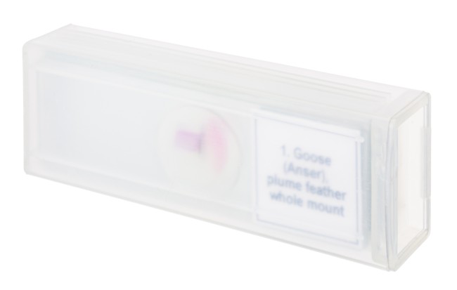 Набор микропрепаратов Discovery Prof DPS 5. «Птицы» Набор микропрепаратов Discovery Prof DPS 5. «Птицы»