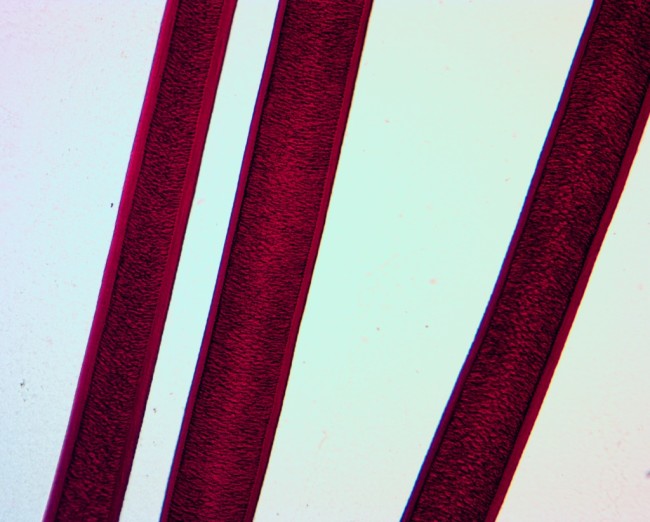 Видеоокуляр ToupCam 14.0 MP Видеоокуляр ToupCam 14.0 MP