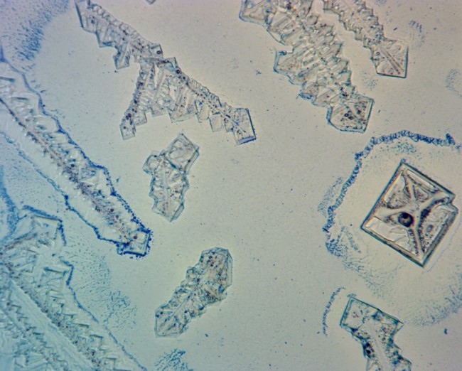 Видеоокуляр ToupCam 14.0 MP Видеоокуляр ToupCam 14.0 MP