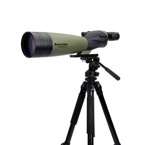 Зрительная труба Celestron Ultima 100 Straight Зрительная труба Celestron Ultima 100 Straight