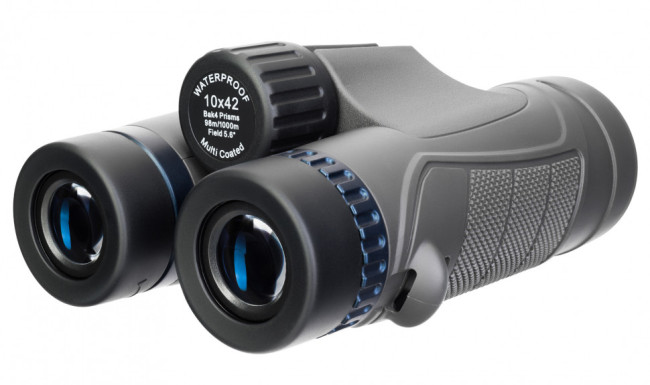 Бинокль Levenhuk Nitro 10x42