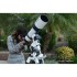Оптическая труба Meade LX85 5" Refractor OTA Only