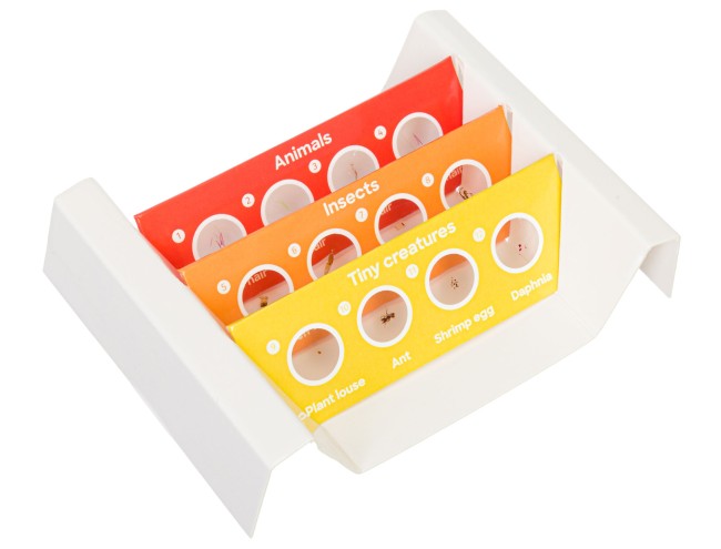 Набор микропрепаратов Discovery «Фауна», 12 шт. Набор микропрепаратов Discovery «Фауна», 12 шт.