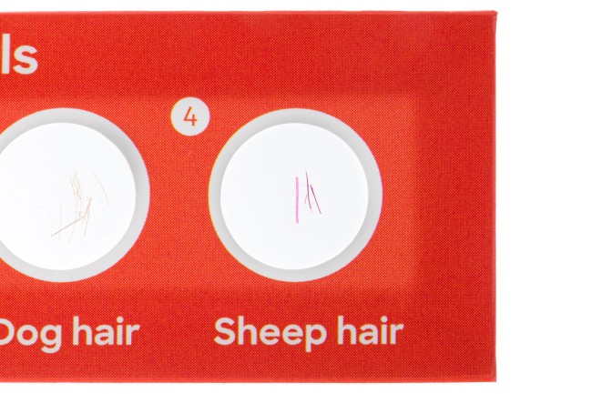 Набор микропрепаратов Discovery «Флора и фауна», 24 шт. Набор микропрепаратов Discovery «Флора и фауна», 24 шт.