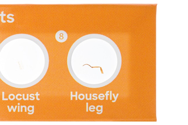 Набор микропрепаратов Discovery «Флора и фауна», 24 шт. Набор микропрепаратов Discovery «Флора и фауна», 24 шт.