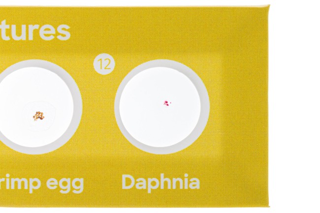 Набор микропрепаратов Discovery «Флора и фауна», 24 шт. Набор микропрепаратов Discovery «Флора и фауна», 24 шт.