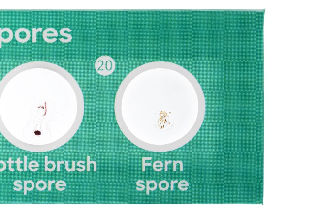 Набор микропрепаратов Discovery «Флора и фауна», 24 шт. Набор микропрепаратов Discovery «Флора и фауна», 24 шт.