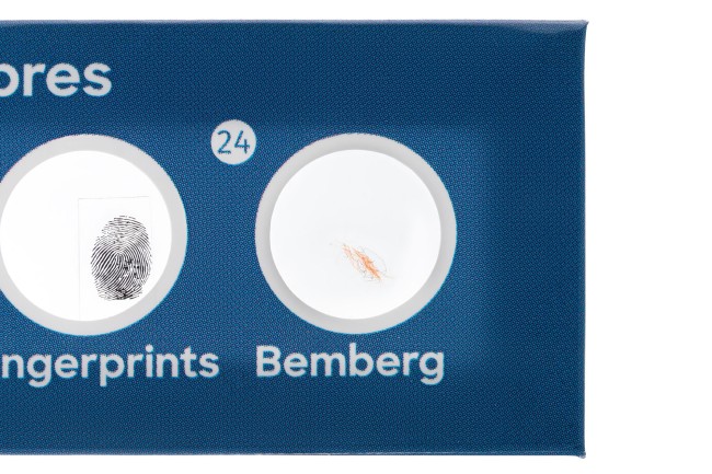 Набор микропрепаратов Discovery «Флора и фауна», 24 шт. Набор микропрепаратов Discovery «Флора и фауна», 24 шт.