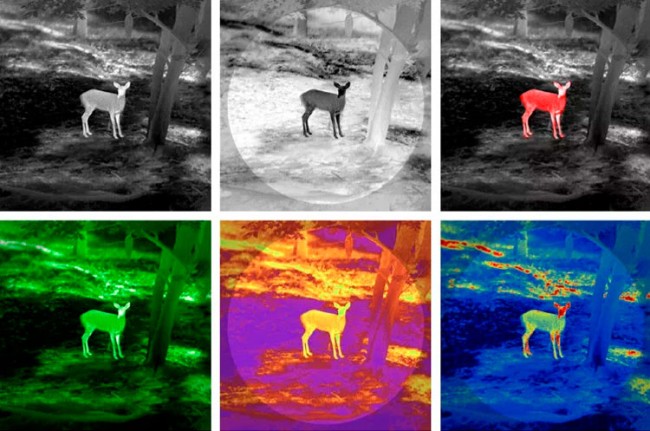 Тепловизионный бинокль Guide TN450 с лазерным дальномером Тепловизионный бинокль Guide TN450 с лазерным дальномером