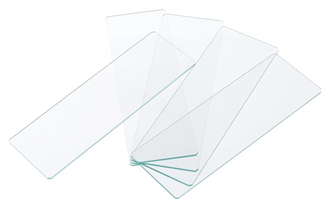 Стекла предметные Levenhuk G50, 50 шт. Стекла предметные Levenhuk G50, 50 шт.