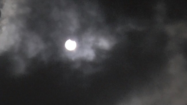 Пленка Baader Planetarium AstroSolar, 20х30 см Пленка Baader Planetarium AstroSolar, 20х30 см