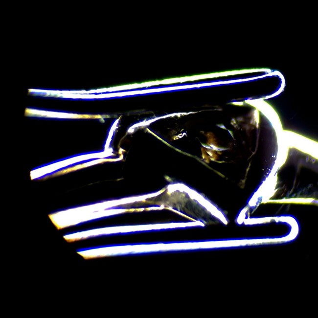 Микроскоп стереоскопический цифровой MAGUS Stereo D7T PLUS