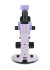 Микроскоп стереоскопический цифровой MAGUS Stereo D7T PLUS