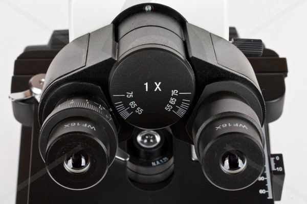 Микроскоп Альтами БИО 8 (трино) Микроскоп Альтами БИО 8 (трино)