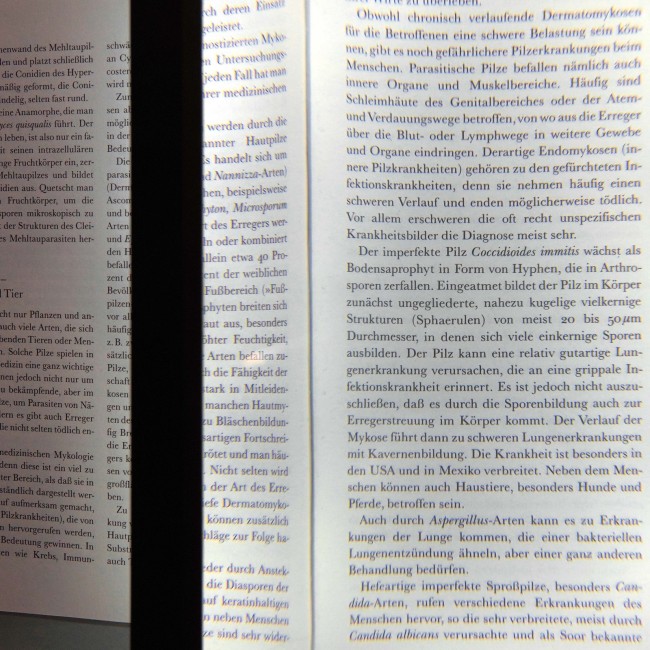 Линза Френеля Veber AM2.5 столик Линза Френеля Veber AM2.5 столик