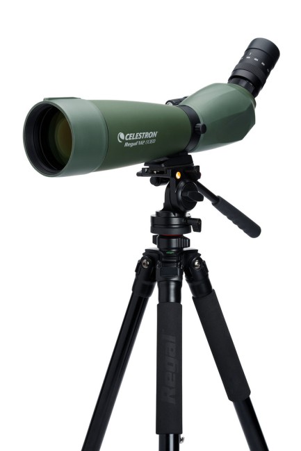 Зрительная труба Celestron Regal M2 80 ED Зрительная труба Celestron Regal M2 80 ED