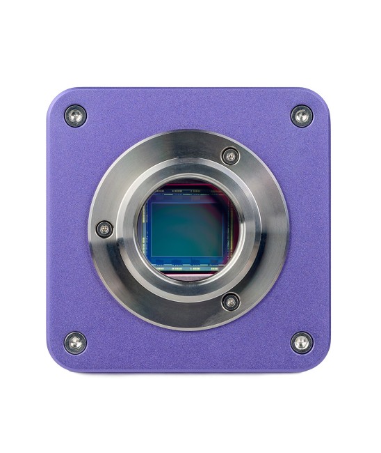 Микроскоп стереоскопический цифровой MAGUS Stereo D8T PLUS