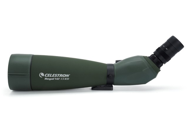 Зрительная труба Celestron Regal M2 100 ED