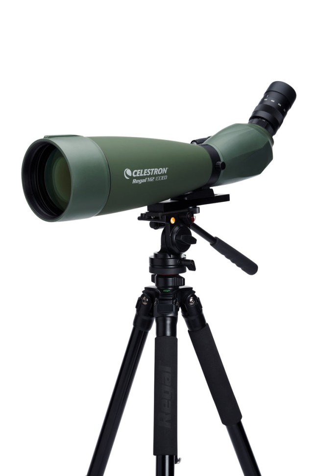 Celestron regal shop m2 100 ed
