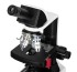 Микроскоп Levenhuk 450M, монокулярный Микроскоп Levenhuk 450M, монокулярный