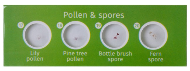 Набор микропрепаратов Levenhuk LabZZ P12, растения Набор микропрепаратов Levenhuk LabZZ P12, растения