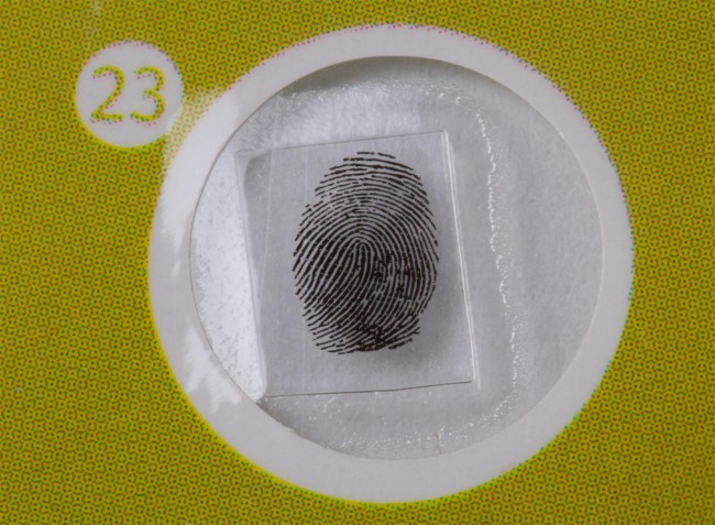 Набор микропрепаратов Levenhuk LabZZ P12: микропрепарат «отпечатки пальцев» Набор микропрепаратов Levenhuk LabZZ P12: микропрепарат «отпечатки пальцев»